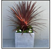 Concrete Garden Planter