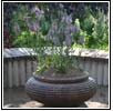 Glazed Terracotta Planter
