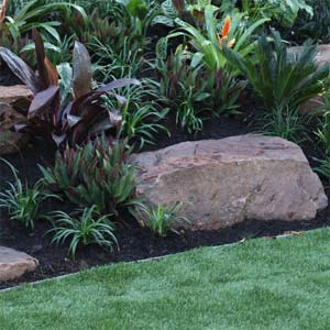 Garden Edging Ideas