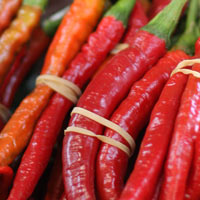 Chilli Plants