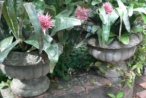 Cottage Garden Urns