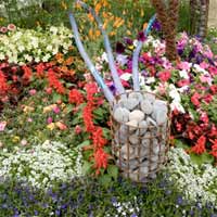 Growing Flowers in the Garden Border