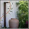 Small Water Feature Idea