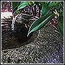Stone Water Feature Design