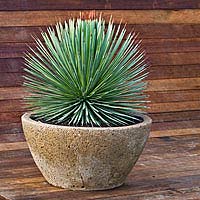 Stone Garden Pot - Planter