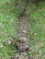 Natural Rill in French Alps