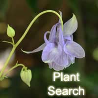 Garden Plant Finder