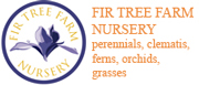 Fir Tree Farm