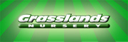 Grasslands Turf