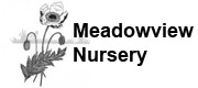 Meadowview Nursery