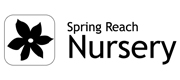 Spring Reach Nursery