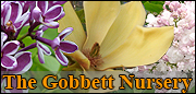 The Gobbett Nursery UK