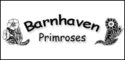 Barnhaven Primroses
