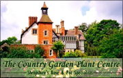 Country Garden Plants and Roses