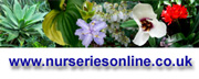 Nurseries Online UK